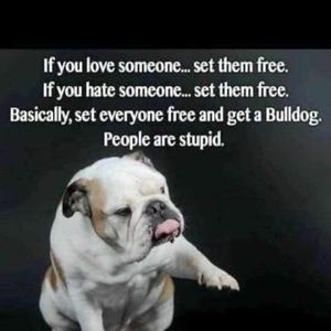 Meet your Posher, Peg